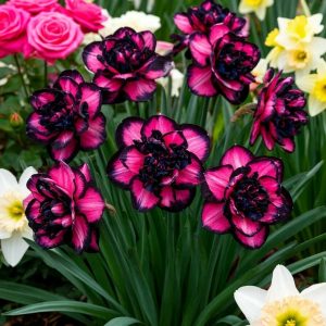 Нарцисс Золотая Корона купить по цене от 2000р. в интернет-магазине «Посадика» с доставкой почтой в в Медногорске и по всей России – [изображение №1].