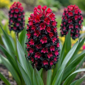 Гиацинт Джем Стоун купить по цене от 2099р. в интернет-магазине «Посадика» с доставкой почтой в в Медногорске и по всей России – [изображение №1].