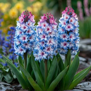 Гиацинт Пинк Мари купить по цене от 2099р. в интернет-магазине «Посадика» с доставкой почтой в в Медногорске и по всей России – [изображение №1].