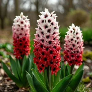 Гиацинт Скай Гарден купить по цене от 2099р. в интернет-магазине «Посадика» с доставкой почтой в в Медногорске и по всей России – [изображение №1].